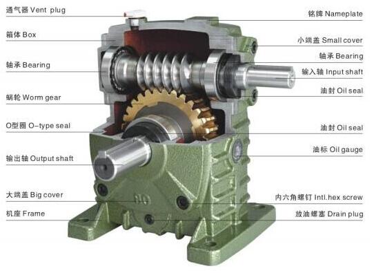 蝸輪蝸桿減速機(jī) 剖解圖